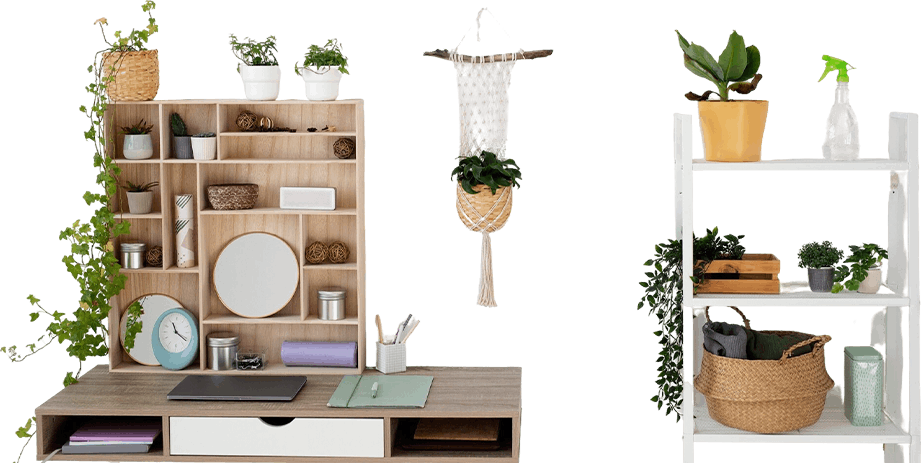 Home office with indoor plants